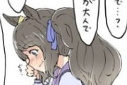 【ウマ娘】ジョーダンをこれ以上曇らさせるのはやめてあげて…