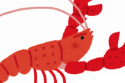 【画像あり】世界一でかいザリガニがこちらｗｗｗｗｗ
