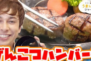 【悲報】さわやかハンバーグ「県外進出？するするｗ」静岡県民「ぎゃおおおおおおおおおおおんんん」