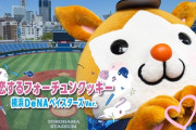 「恋するフォーチュンクッキー 横浜DeNAベイスターズ Ver.」公開🕺💃