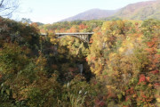 【大崎市】蛇のゆ湯吉【動画】紅葉見ごろ10月中旬～11月上旬♪