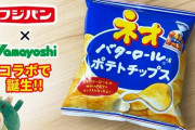 【悲報】とんでもないポテチが発売されてしまう