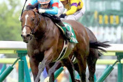 第70回 ラジオNIKKEI賞（GIII）ヴァイスメテオール重賞初制覇 丸山騎手「イメージ通り乗れた」