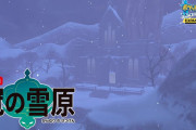 『ポケモン剣盾』DLC第2弾「冠の雪原」、伝説のポケモンは何度も捕まえられないことが判明