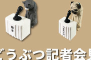 何かやらかして謝罪会見を開く犬や猫のガチャフィギュアが登場！「どうぶつ記者会見」