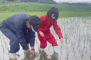 【動画】女の子、田植えでじいじを道連れにする