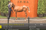 【セレクトセール2025】レディマドンナの2025(父オルフェーヴル)が17,000万円で落札　他
