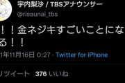 【悲報】宇内梨沙アナ、衛門だった