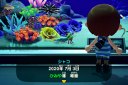 あつまれどうぶつの森 海で海の幸やしんじゅを取ろう ラコスケやマリンスーツの購入など海開きプレイレポ