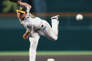 阪神連敗ストップで３位死守　先発の伊藤将が９回１失点完投で今季９勝目　２打点と投打で躍動