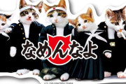 世の中には「ナメられる事」を「人生最大にあってはならない事」としてる人達がいるよな
