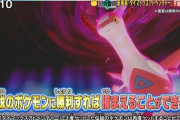 ポケモン剣盾DLC、伝説のポケモンは乱獲ができないことが判明