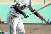 阪神・高寺　対外試合６戦連続安打と絶好調　またもマルチ安打で打率・５６５