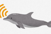 パレスチナ政党「ガザ地区沖で『暗殺軍用イルカ』を発見した」と主張　イスラエル海軍が訓練か？