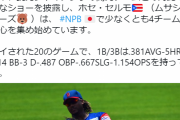 【新外国人】BCリーグ武蔵ホセ・セルモにNPB4球団が興味　昨年米独立でウォーカーより活躍