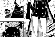 【悲報】ONE PIECE尾田くん、またまたHな新キャラを登場させてしまうｗｗｗｗｗ【漫画】