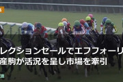 セレクションセールでエフフォーリア産駒が活況を呈し市場を牽引