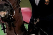 【画像】オリンピック乗馬で女性が大号泣ｗｗｗｗｗｗｗｗ