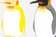 【色違いペンギン】珍しい黄色い オウサマペンギンが発見される　英領サウスジョージア島