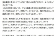 彡(ﾟ)(ﾟ)「右手で携帯いじってて左手は吊り革掴んでいました！ワイは痴漢なんかしてません！」