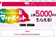 日本さん「マイナポイント予約はIEが動作環境やぞ」←言うほどIT後進国か？