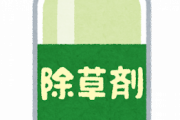 ニンジン畑に繰り返し除草剤を撒く・・・