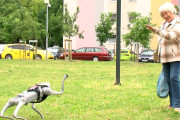 子供たちの動物を大切にする心を育てるため、ロボット犬を導入（ハンガリー）
