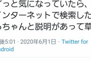 【悲報】駐日ジョージア代理大使、「草」の意味を知る