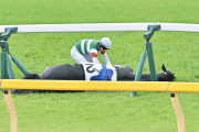 悲劇の日本ダービー、2番人気スキルヴィングが急性心不全で死亡