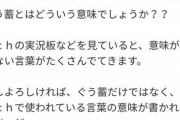 【画像】知恵袋民「ぐう蓄とはどういう意味でしょうか？」