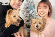 ◆日本代表◆柴崎岳 妻・真野恵里菜と自宅ツリー前で仲良しショット 吉田麻也も「♥♥♥」