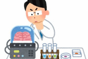 【科学】育てたヒト脳細胞をコンピュータに接続、生きたAI「Brainoware」で学習し数式を解くことに成功