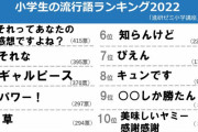 小学生の流行語1位「それってあなたの感想ですよね」