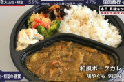 【悲報】藤井聡太さん、昼飯980円