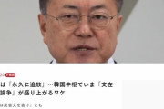【悲報】韓国人「日本のマスコミが文大統領を攻撃する理由がこちら‥」　韓国の反応