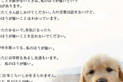 【画像あり】イッヌが逝ってしまったのでペット用の火葬場行ったら変なの貰ったンゴ…