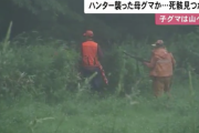 【北海道】ハンター襲ったクマか 死骸見つかる 体長1メートルほどのメス 子を守ろうとしたか