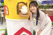 シマエナガちゃん、櫻坂46松田里奈を「まつりちゃん」呼び！明日10/28「THE TIME,」木曜レギュラー店員として登場