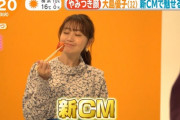 【朗報】大島優子がミニストップの新CMに出演！！！