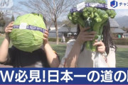 【群馬】都心から2時間半！2年連続「日本一の道の駅」　おトク野菜ズラリ並ぶワケ