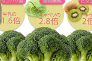 【画像】筋トレ御用達のブロッコリーが実はすごい栄養を秘めていることを紹介