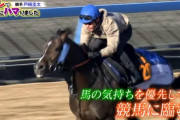●京都競馬の見所