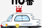 ？？？「警察ですか？ゴキブリがでました！」3割近くは緊急性ない通報