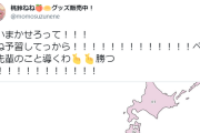21時からのGeoGuesser対決に向け予習に余念のないねねち