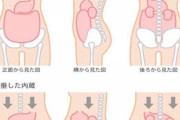 マジでどうやったら腹の脂肪無くなるか教えてくれや