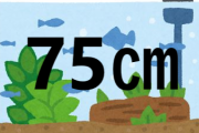 【疑問】75cm規格水槽はどうしてなくなったのか？