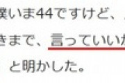 【悲報】漫画家「ハァハァ…ついに漫画村を倒したぞ！」？？？「26倍」漫画家「え？」