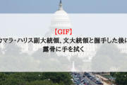 【GIF】カマラ・ハリス副大統領、文大統領と握手した後に露骨に手を拭く