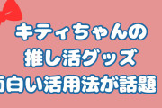 キティちゃんの推し活アイテムの最適解！？2次元と実写の融合に「どすけべキティ様すぎる」