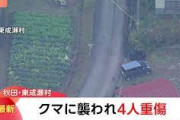 【速報】秋田県でクマに襲われ4人重傷 → 1人が死亡